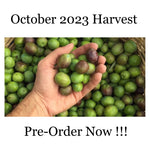 *PRE-ORDER* October 2023 Harvest